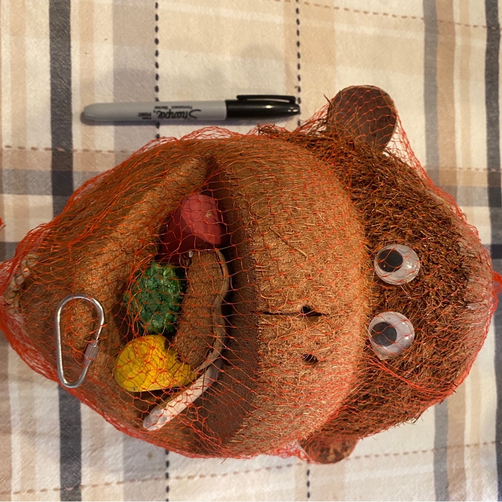 Parrot or Cockatoo Toy